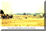 2_cobra_helicopters.PNG (203297 bytes)